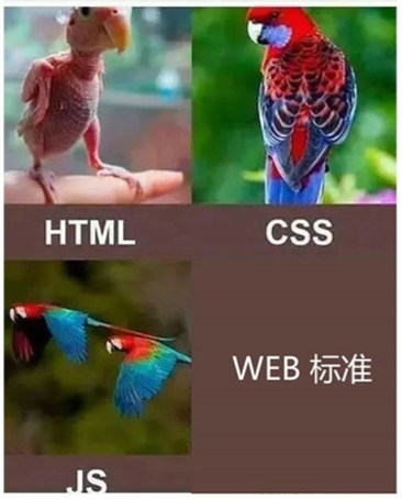 image-20220925160045950